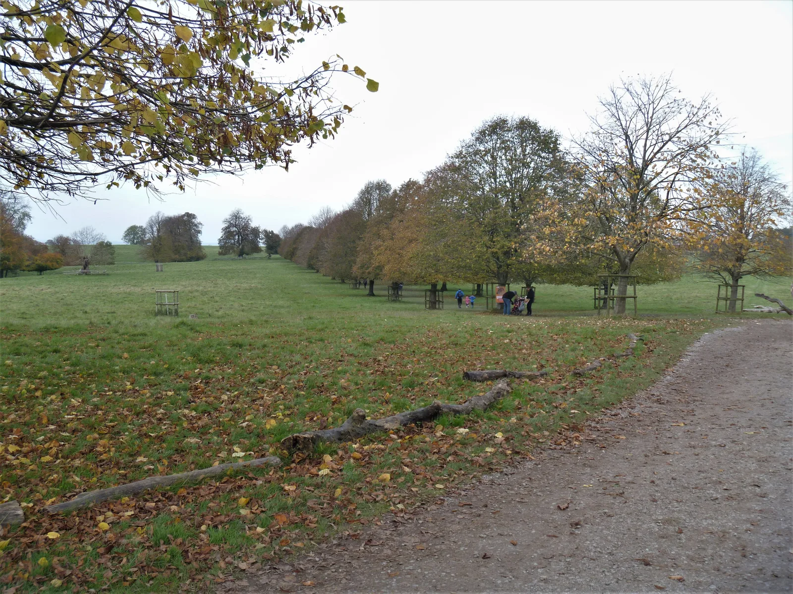 Dyrham Park photo 2