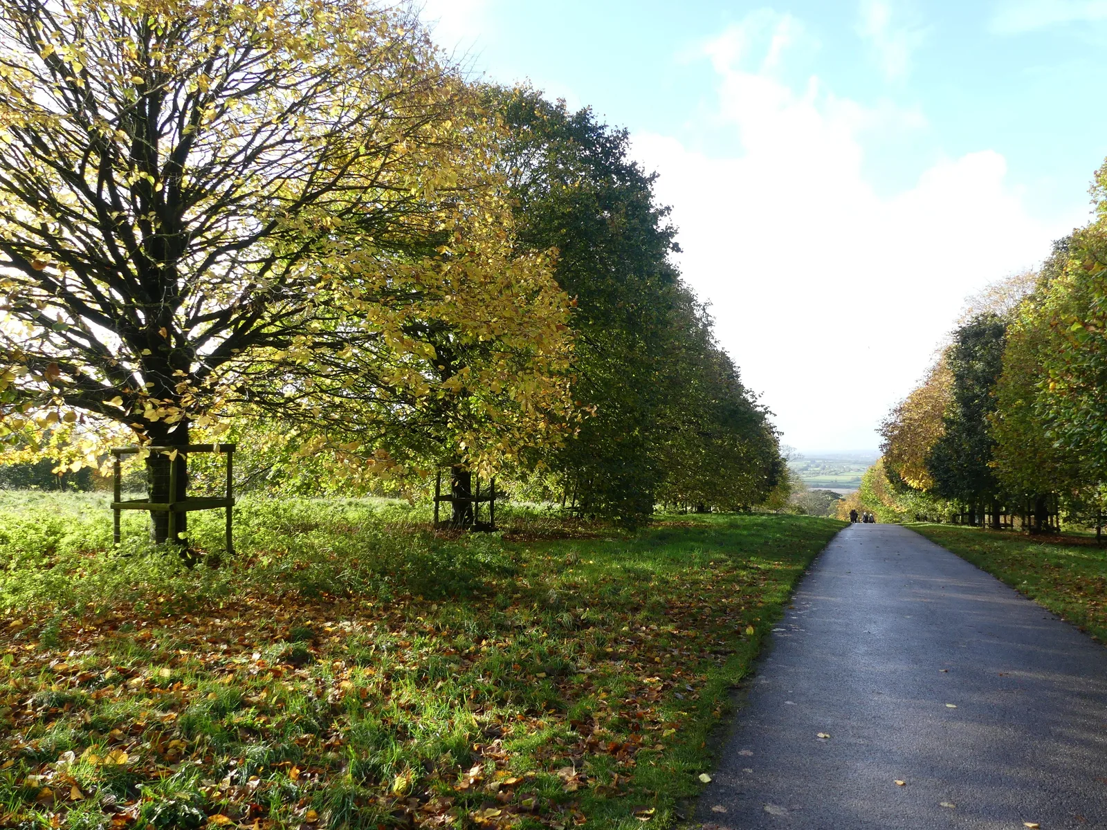 Dyrham Park photo 3