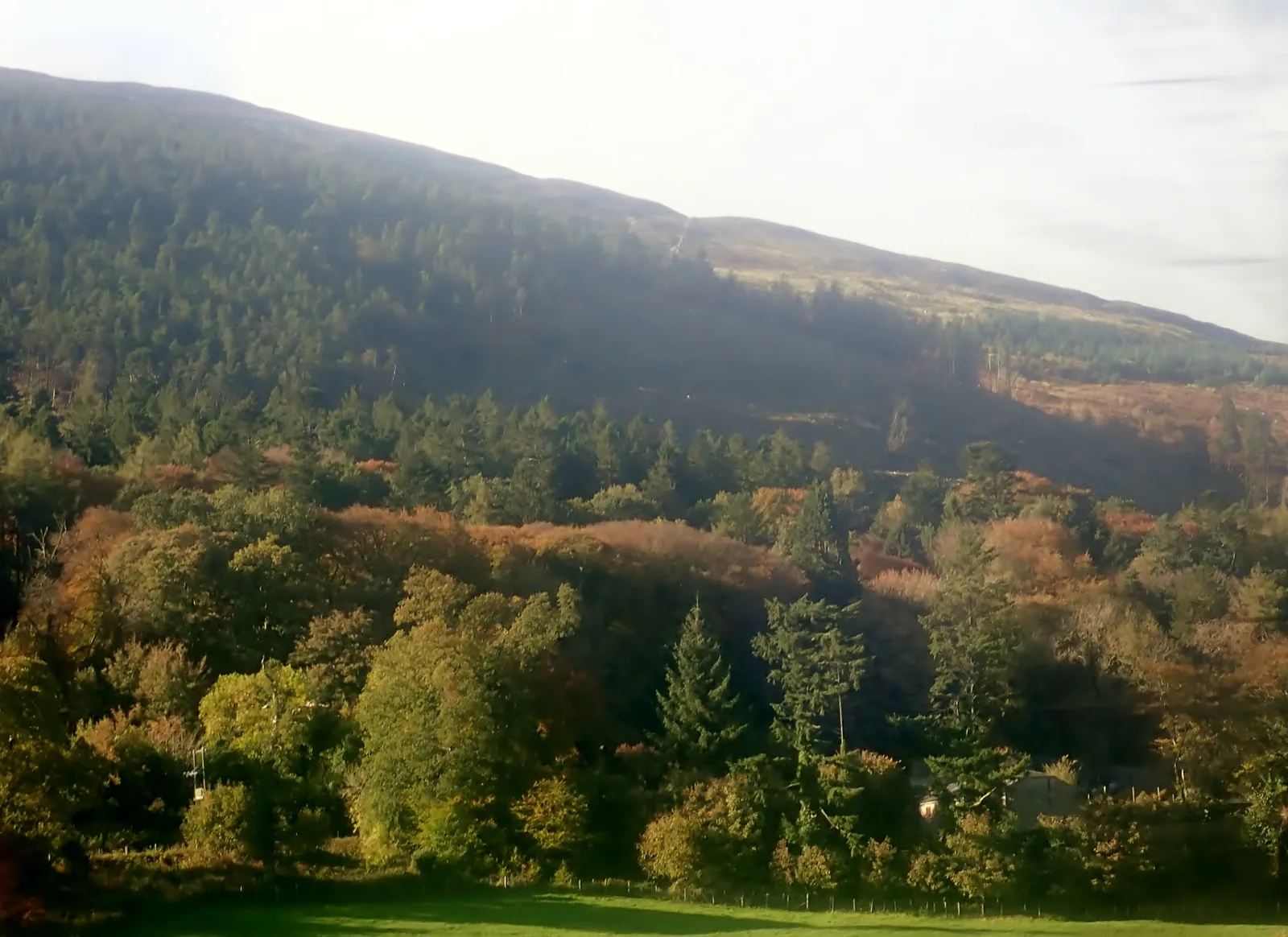 Slieve Gullion Forest Park