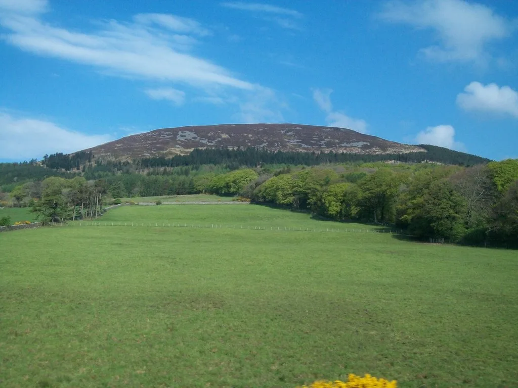Slieve Gullion Forest Park photo 2