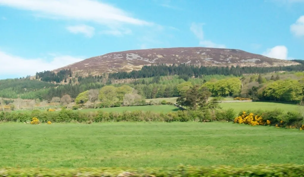 Slieve Gullion Forest Park photo 3