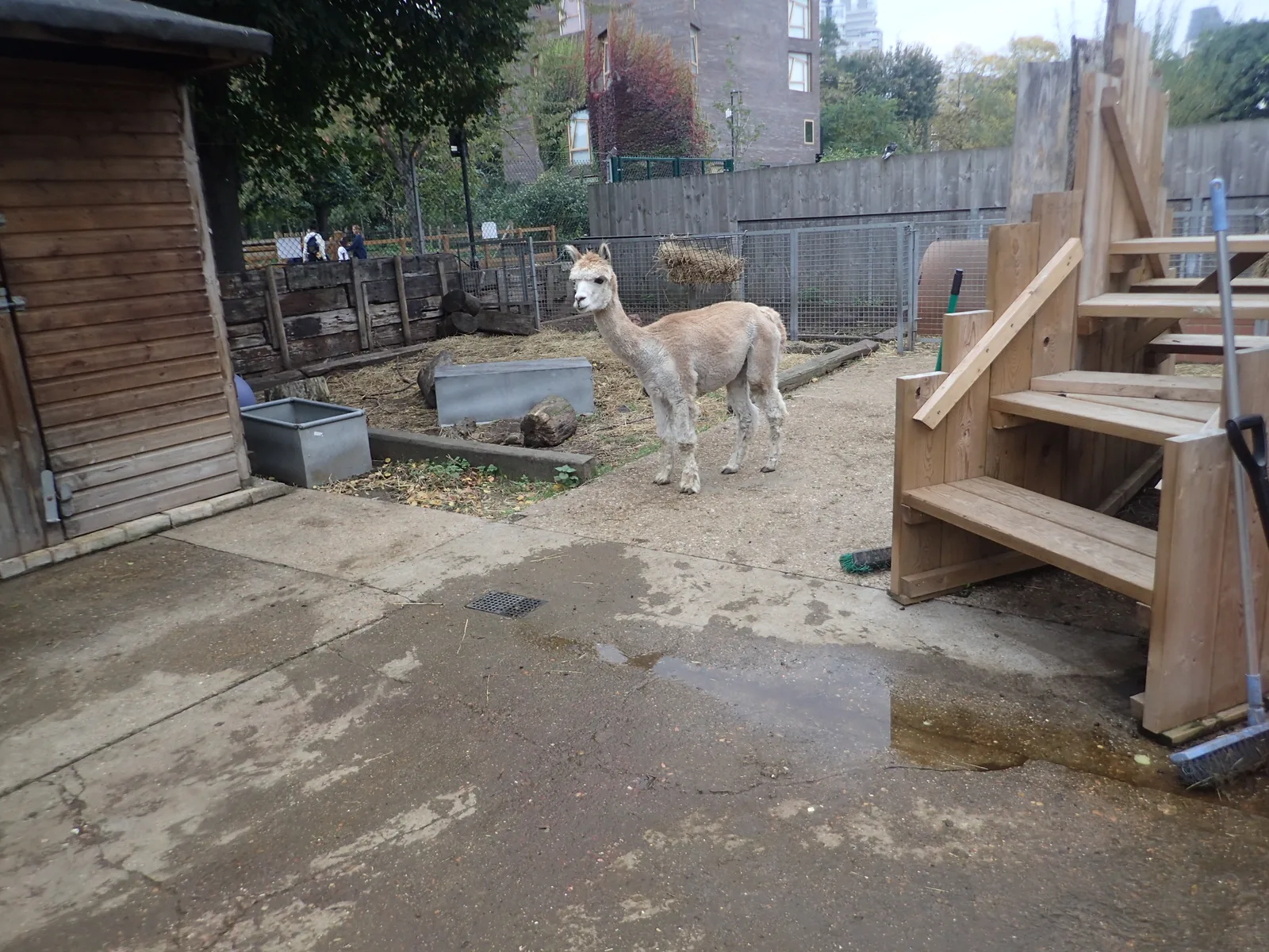 Vauxhall City Farm